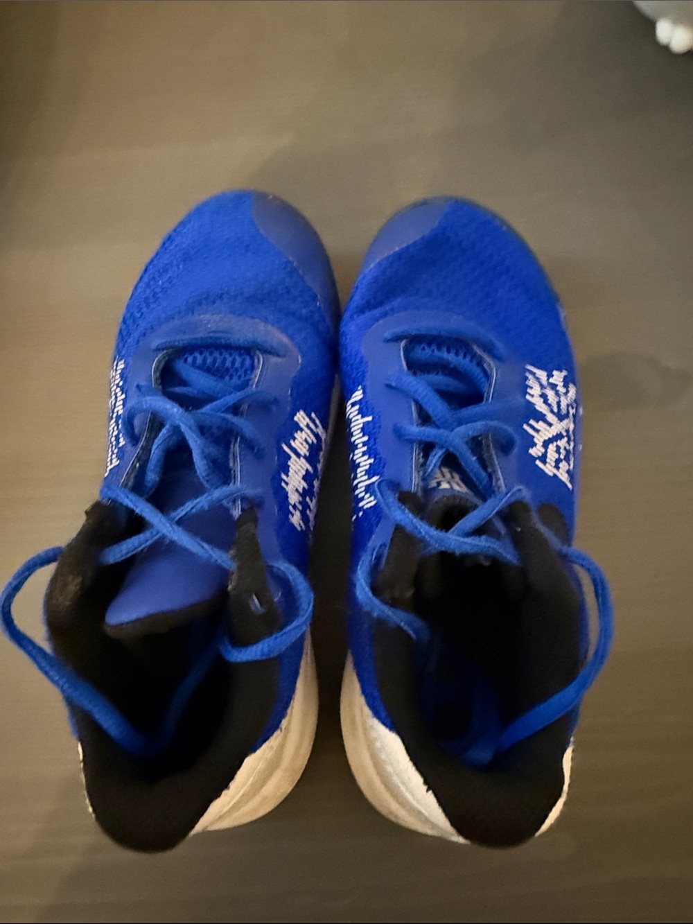 Nike Kids Royal Blue Mesh Sneakers with White Accents